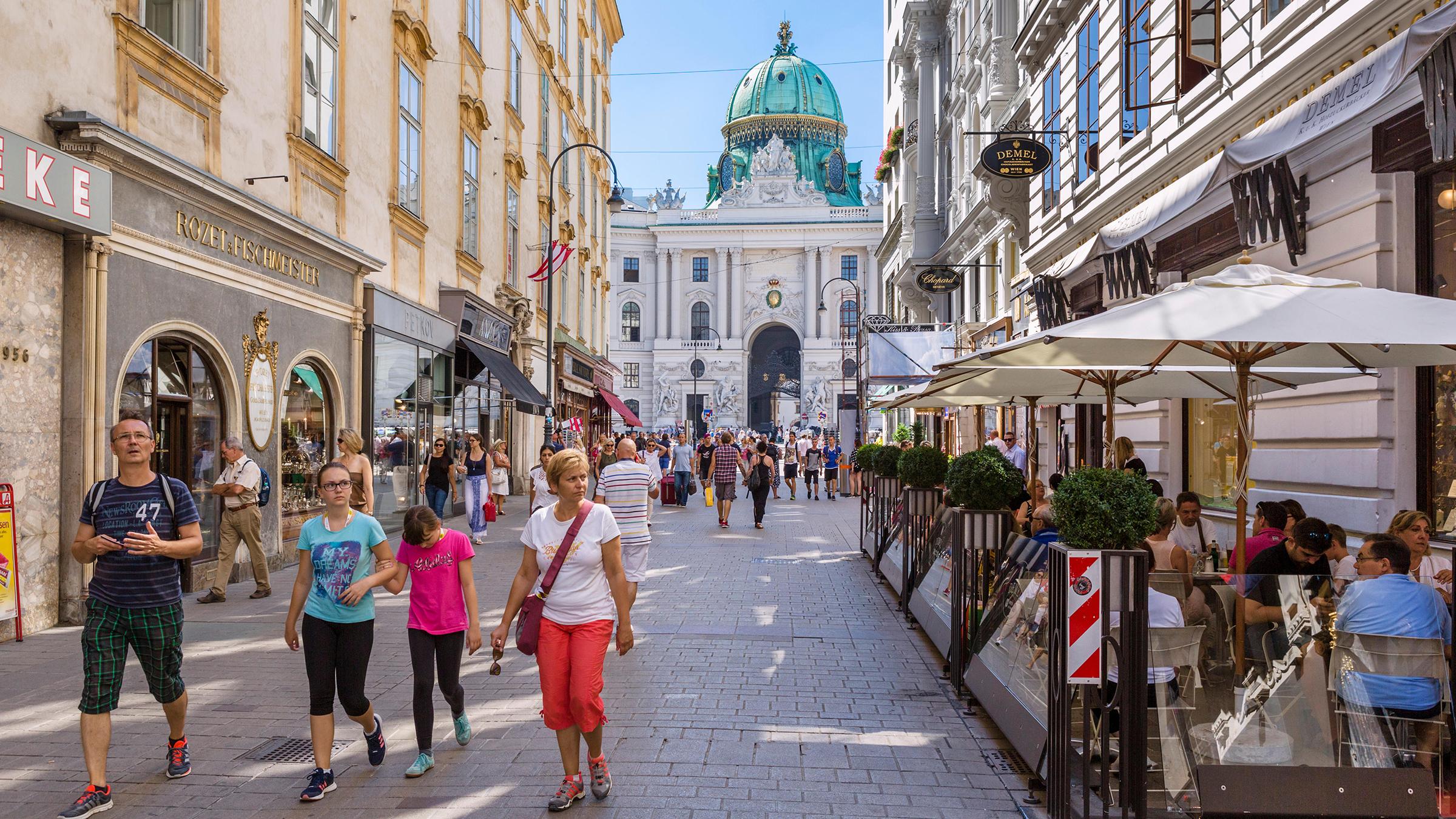 limo and chauffeured service with bodyguard drivers in Vienna